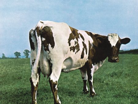 Pink Floyd Atom Heart Mother Remastered Pressed on Heavyweight 180 Gram Vinyl LP For Sale