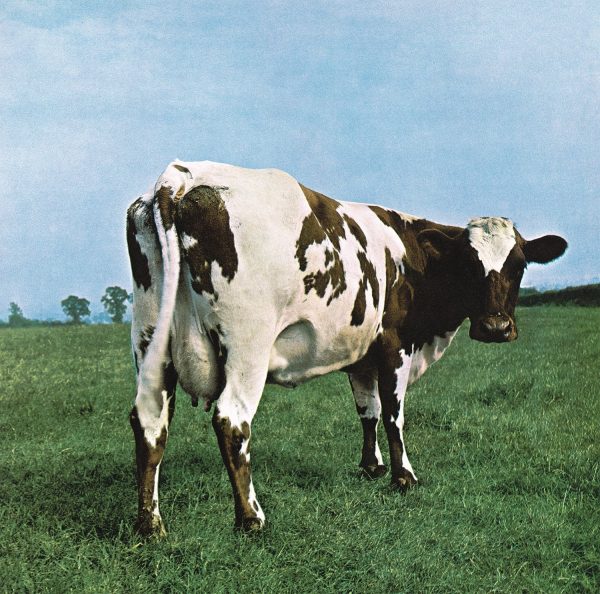 Pink Floyd Atom Heart Mother Remastered Pressed on Heavyweight 180 Gram Vinyl LP For Sale