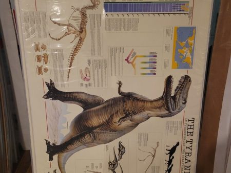 T-Rex-Details-26.5x39 Science Poster Online Hot Sale