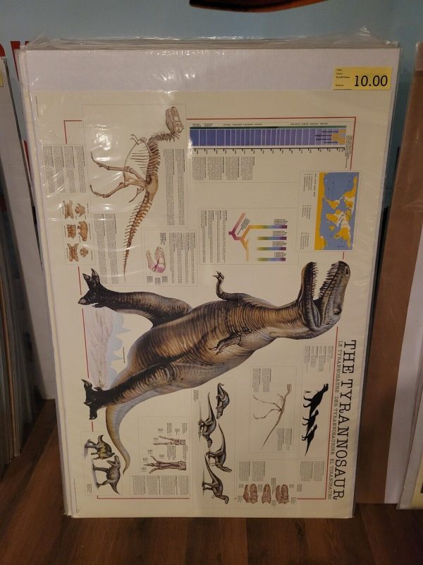 T-Rex-Details-26.5x39 Science Poster Online Hot Sale