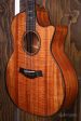 Taylor 50th Anniversary 924ce Koa + Approx. 74 Amplifier Set Hot on Sale