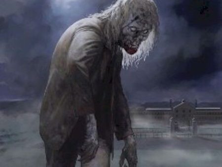 THE WALKING DEAD ~ SOLO PRISON ZOMBIE 24x36 TV POSTER Zombies AMC Season 3 Online Hot Sale