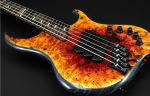 Dingwall Custom Shop Z3X-5 Buckeye Burl Dark Red to Orange RevBurst PRE-ORDER! For Cheap