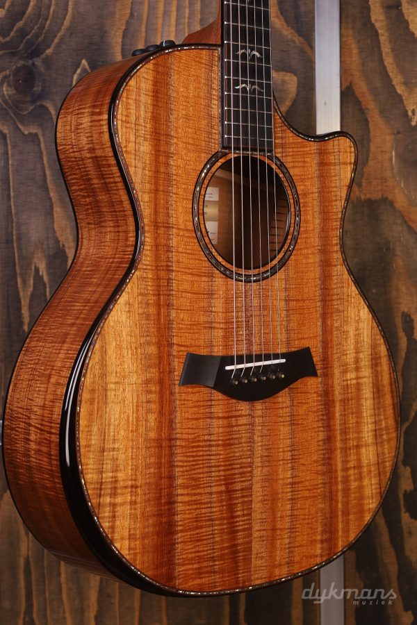 Taylor 50th Anniversary 924ce Koa + Approx. 74 Amplifier Set Hot on Sale