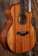 Taylor 50th Anniversary 924ce Koa + Approx. 74 Amplifier Set Hot on Sale