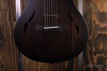 Taylor T5z Classic Rosewood For Discount