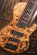 Sire Marcus Miller F10 6-String Fashion