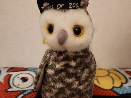 TY Beanie Baby - WISER the 1999 Owl (7 inch) For Cheap