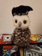 TY Beanie Baby - WISER the 1999 Owl (7 inch) For Cheap