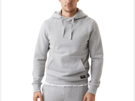 Björn Borg Centre Hoodie Grey Supply