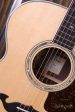 Taylor Legacy Series 815e Fashion