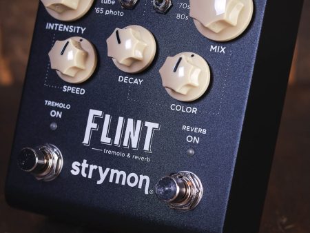 Strymon Flint v2 Online Hot Sale