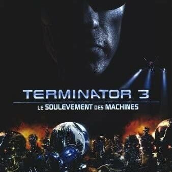 Terminator 3-Rise Of The Machines-French-27x40 SINGLE SIDED REPRINT MOVIE POSTER on Sale