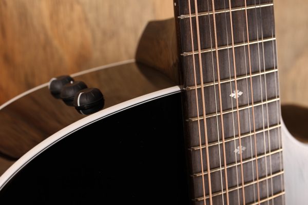 Taylor 250ce-BLK DLX Hot on Sale