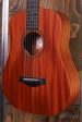 Taylor BT2e Baby Taylor Mahogany For Cheap