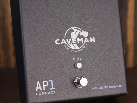 Caveman Audio AP1 Compact Acoustic Guitar Preamp Cheap