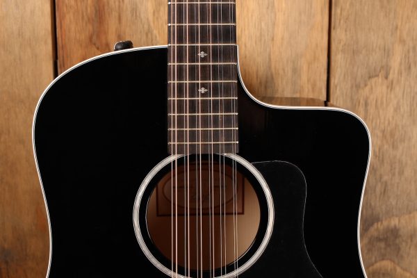 Taylor 250ce-BLK DLX Hot on Sale