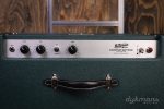 Benson Earhart Reverb Combo on Sale