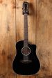 Taylor 250ce-BLK DLX Hot on Sale